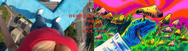 дистиллят марихуана Алексин