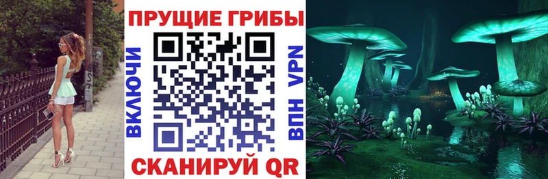 Псилоцибиновые грибы Magic Shrooms  купить наркотик  Солигалич 